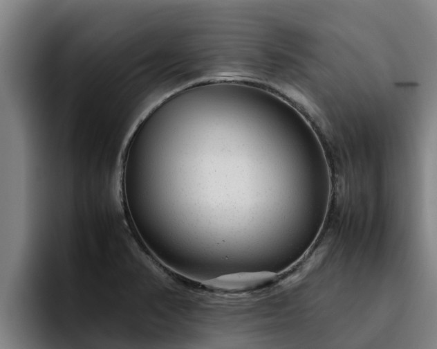 X0000094951374200712061243