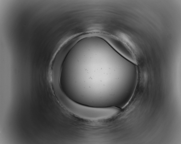 X0000094951376200712061243