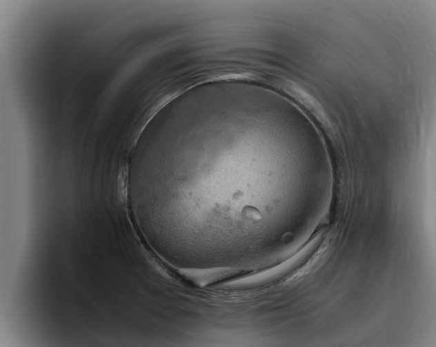 X0000094951377200712061242