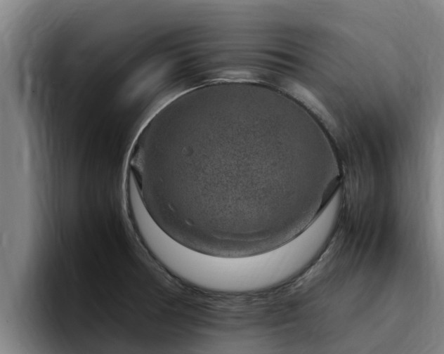 X0000094951378200712061242