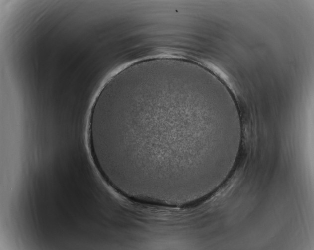 X0000094951379200712061242