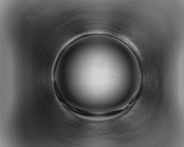 X0000094951380200712061242