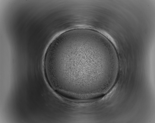 X0000094951381200712061242