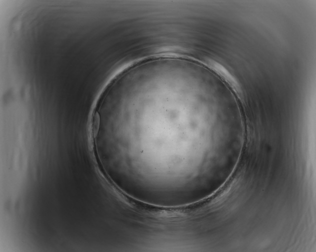 X0000094951384200712061242