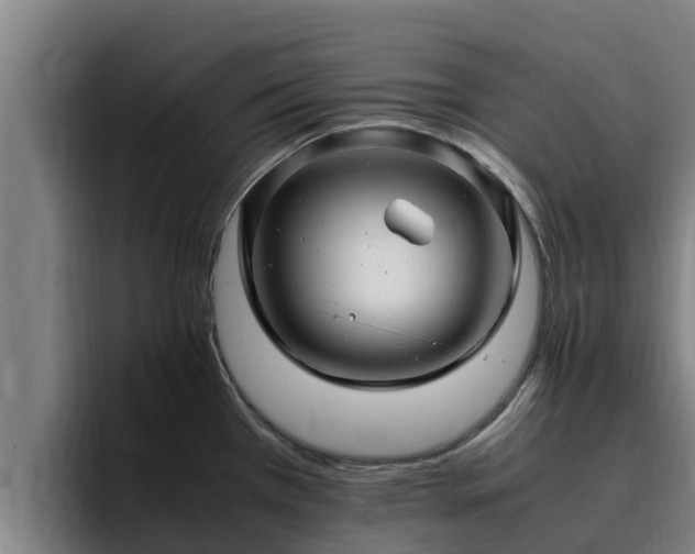 X0000094951385200712061242