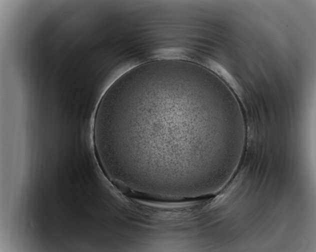 X0000094951386200712061242