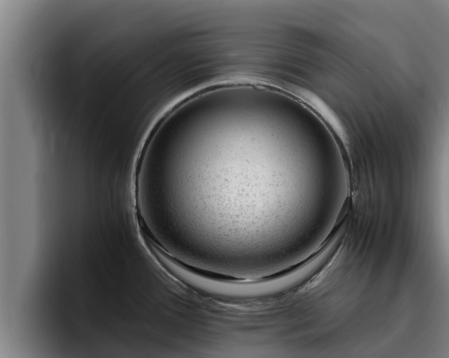 X0000094951388200712061242