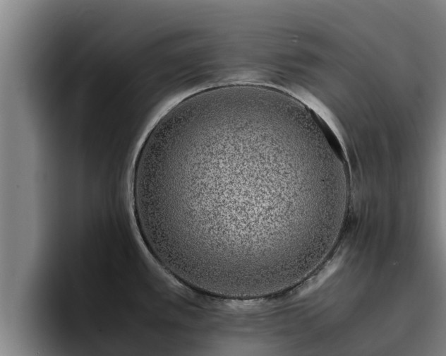 X0000094951389200712061242