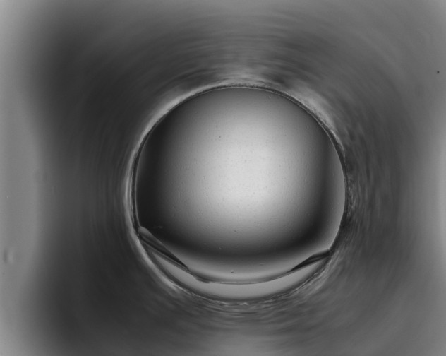 X0000094951391200712061242