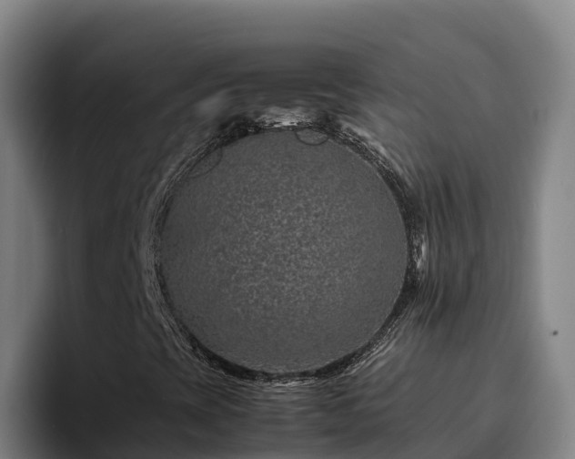 X0000094951393200712061242