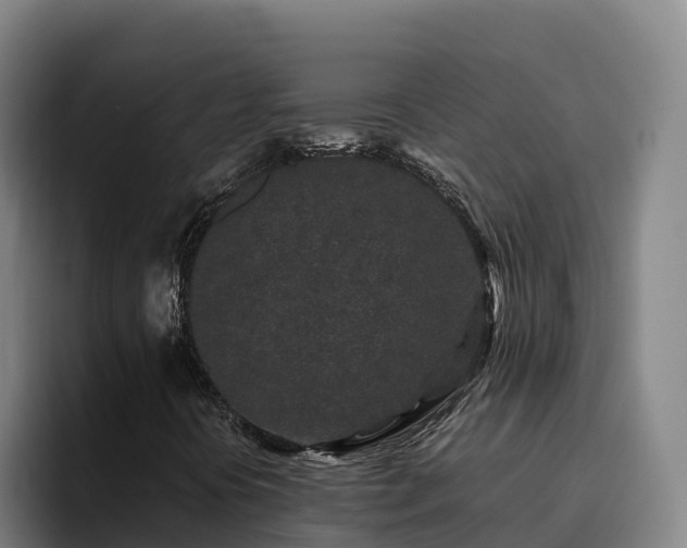 X0000094951394200712061242