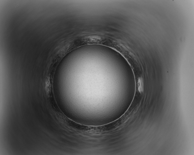 X0000094951395200712061242