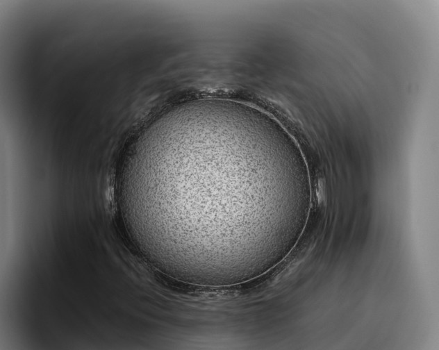 X0000094951396200712061242