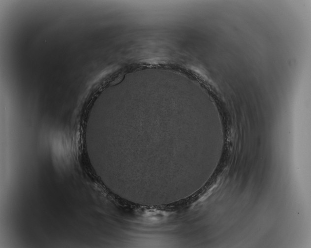 X0000094951398200712061242