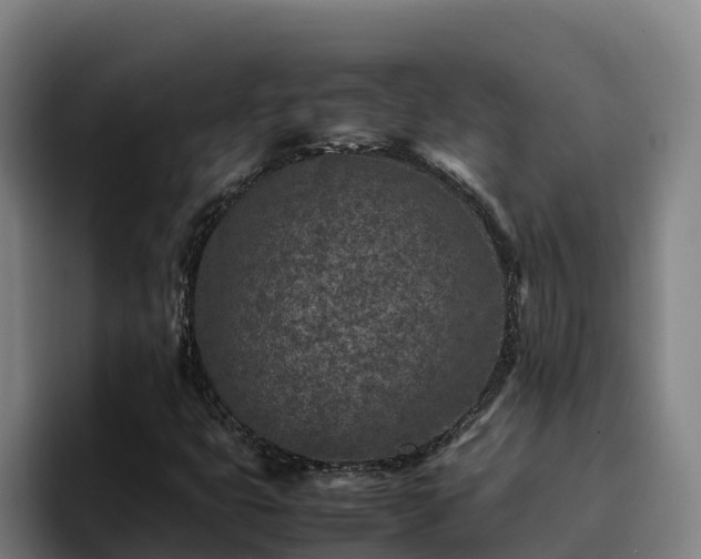 X0000094951399200712061242