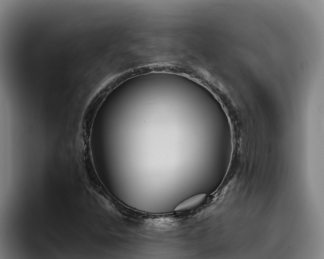 X0000094951400200712061242