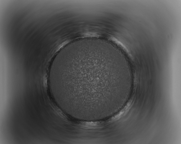 X0000094951401200712061242