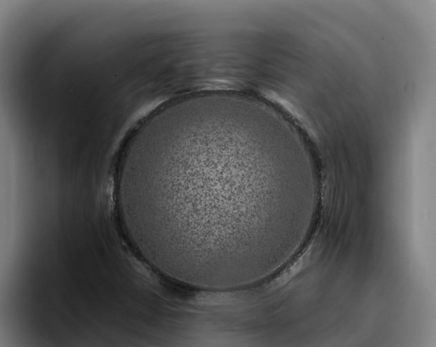 X0000094951402200712061242