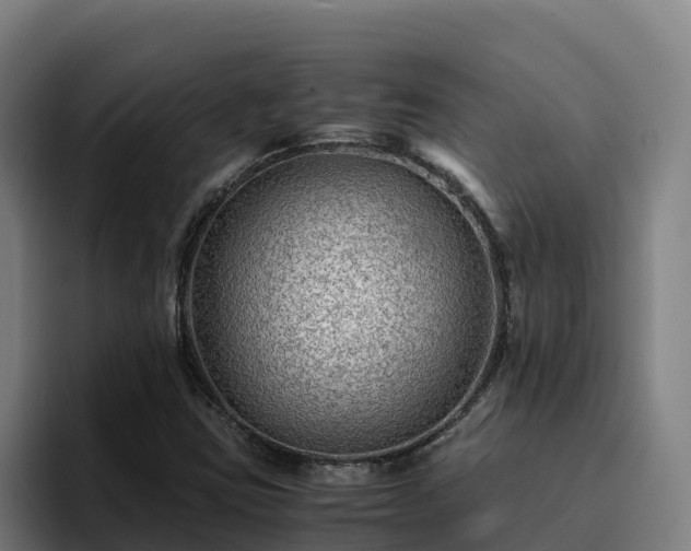 X0000094951403200712061242