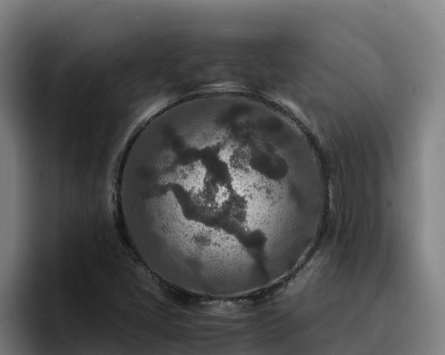 X0000094951405200712061242