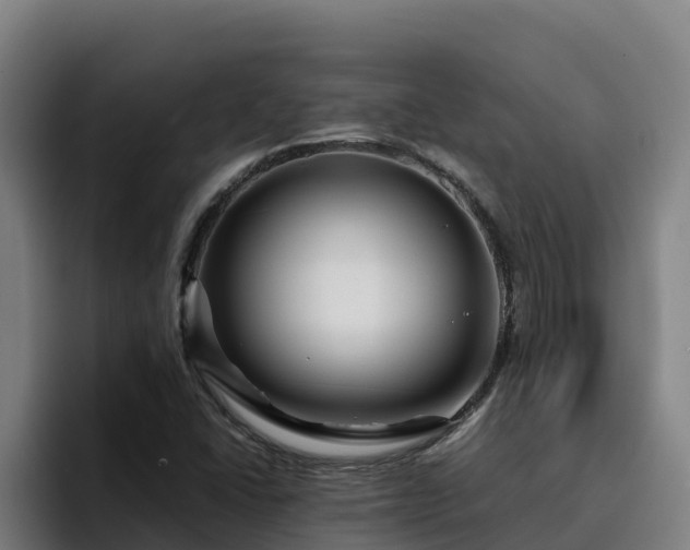 X0000094951406200712061242