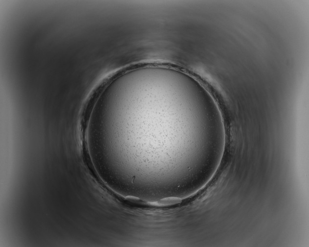 X0000094951408200712061242