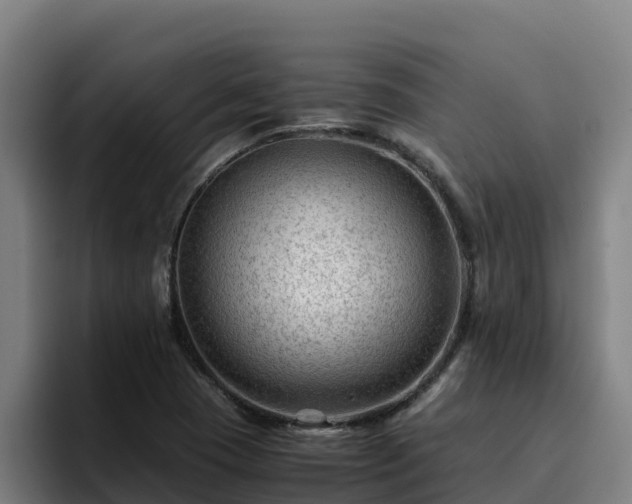 X0000094951409200712061242