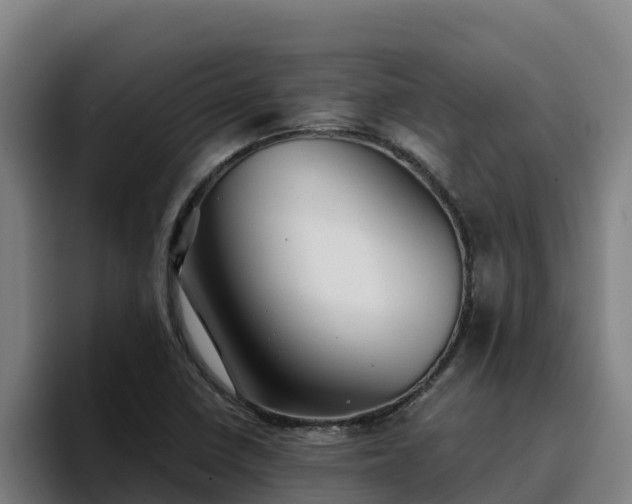 X0000094951410200712061242