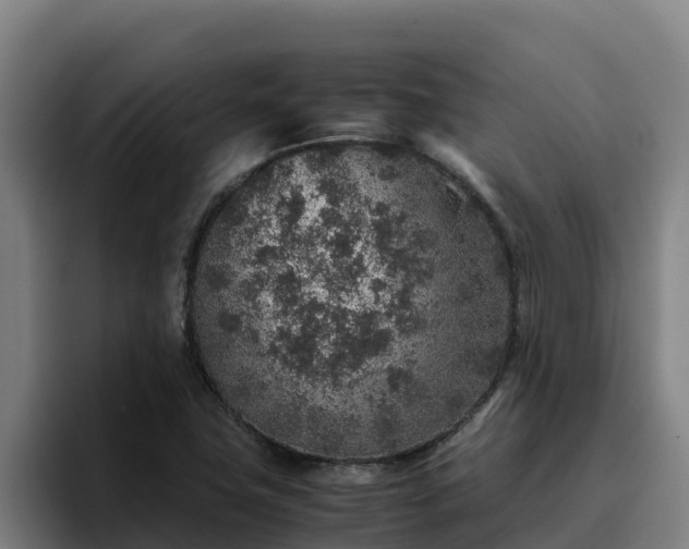 X0000094951411200712061242