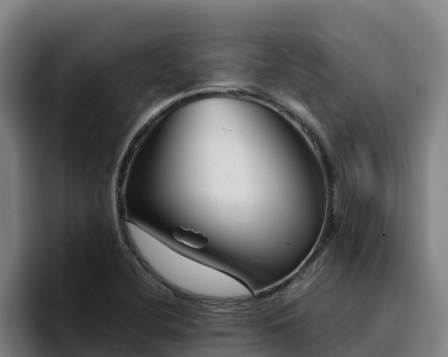 X0000094951412200712061242