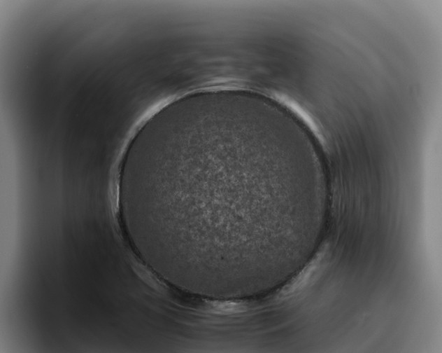 X0000094951413200712061242