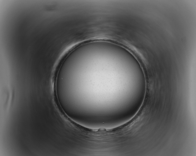 X0000094951416200712061242