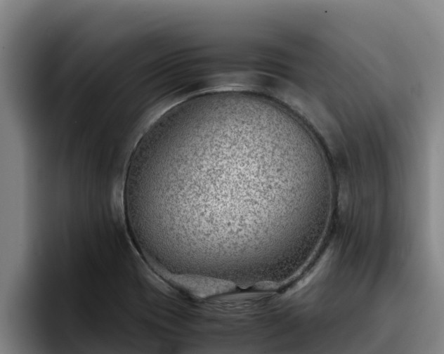 X0000094951417200712061242