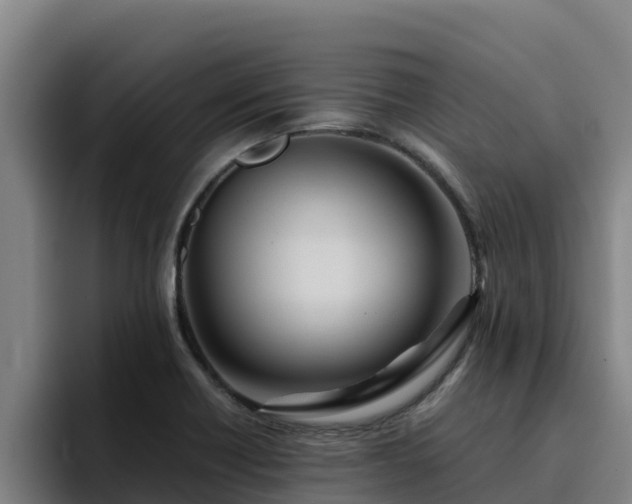 X0000094951418200712061242