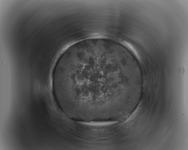 X0000094951419200712061242