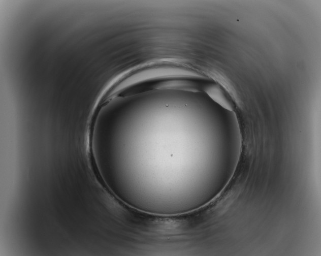 X0000094951420200712061242