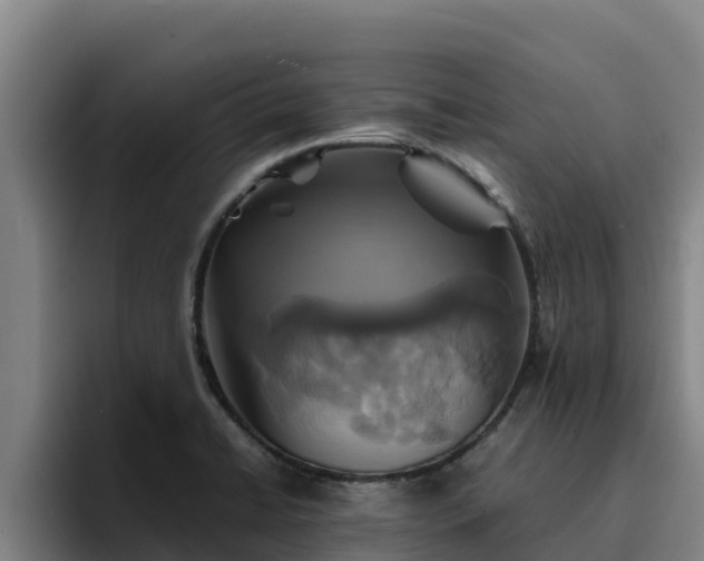 X0000094951422200712061242