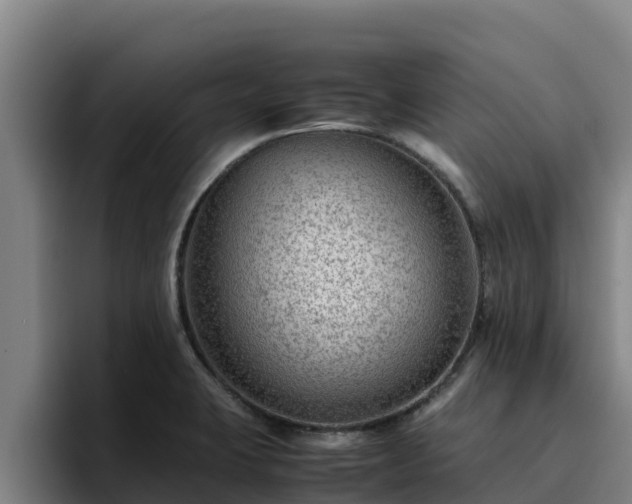 X0000094951423200712061242