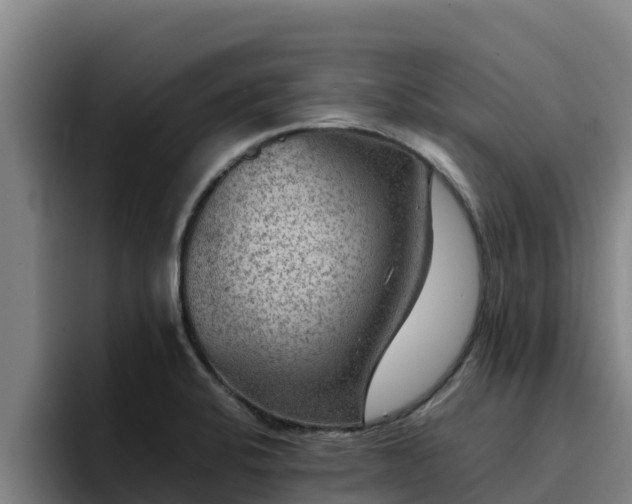 X0000094951424200712061242