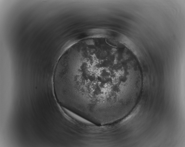 X0000094951425200712061242