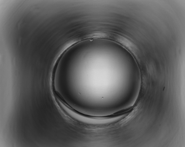 X0000094951426200712061242