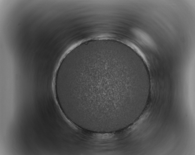 X0000094951429200712061242