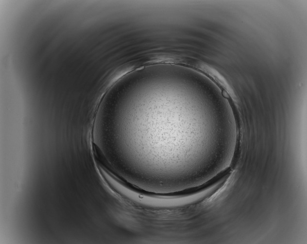 X0000094951433200712061242