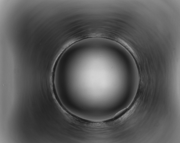 X0000094951434200712061242