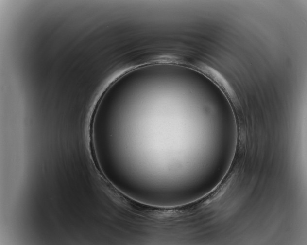 X0000094951435200712061242