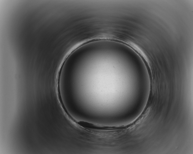 X0000094951437200712061242