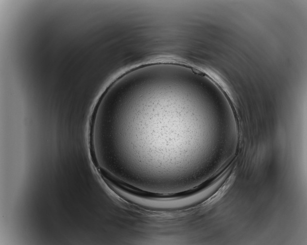 X0000094951438200712061242