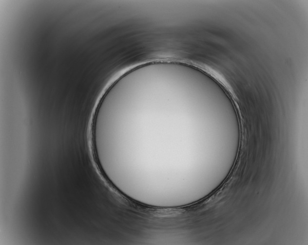 X0000094951440200712061242