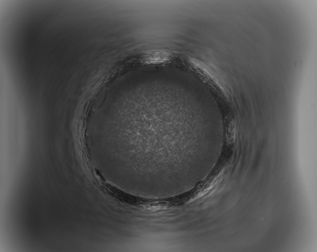 X0000094951441200712061242