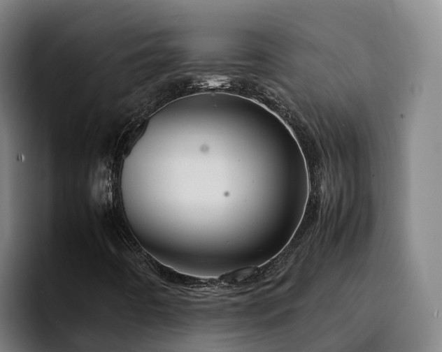 X0000094951442200712061242